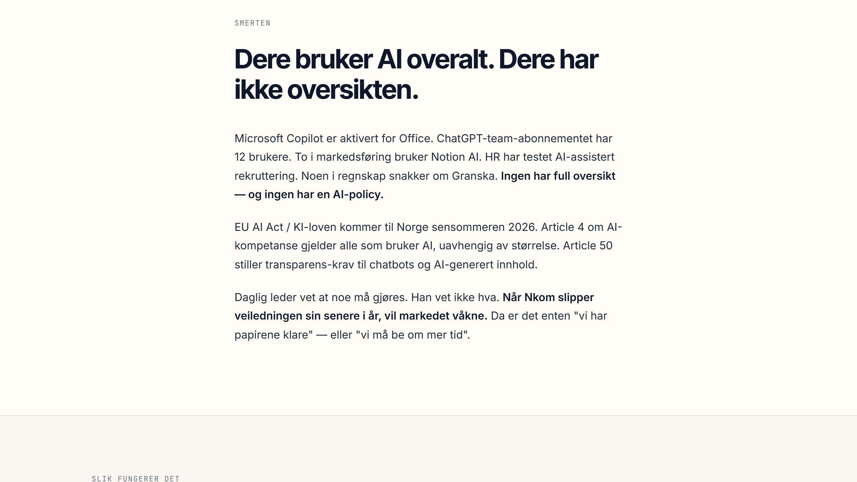 AI Act-Kompis – skjermbilde 2